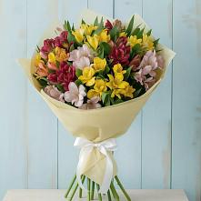 Букет цветов из:  Альстромерии в Бугульму