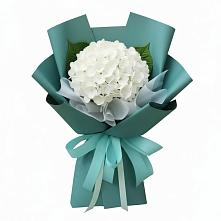 Букет цветов из:  Гортензия в Бугульму